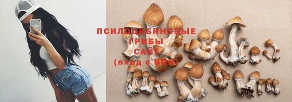 эйфоретик Новозыбков