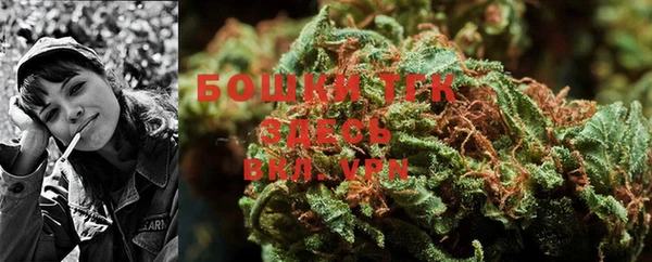 эйфоретик Новозыбков