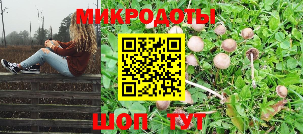 Северск  Псилоцибиновые грибы GOLDEN TEACHER  Вход с VPN  Псилоцибиновые грибы мицелий 